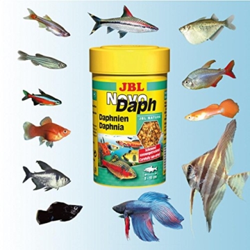 JBL Leckerbissen für Aquarienfische, naturgetrocknete Wasserflöhe 100 ml, NovoDaph 30700 - 5